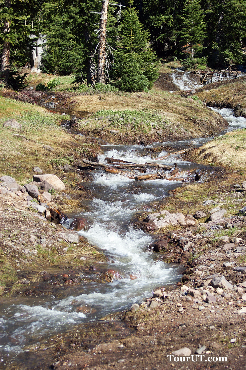 Melting Snow Has Created a Gushing River Down the Mountain in Brian Head, Utah